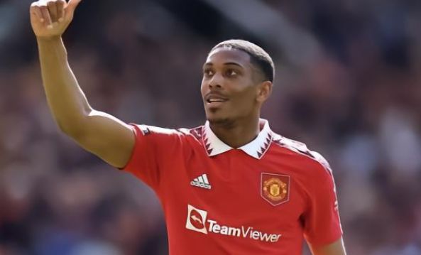 仅是因为他 仅是因为他